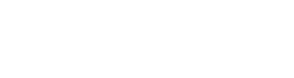 Lazo